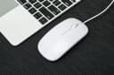 USB màu trắng